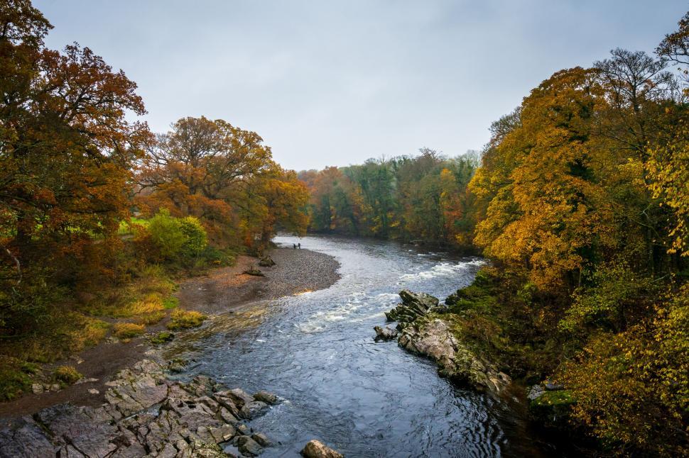 Free Image of Aerial view of river winding through autumn forest 