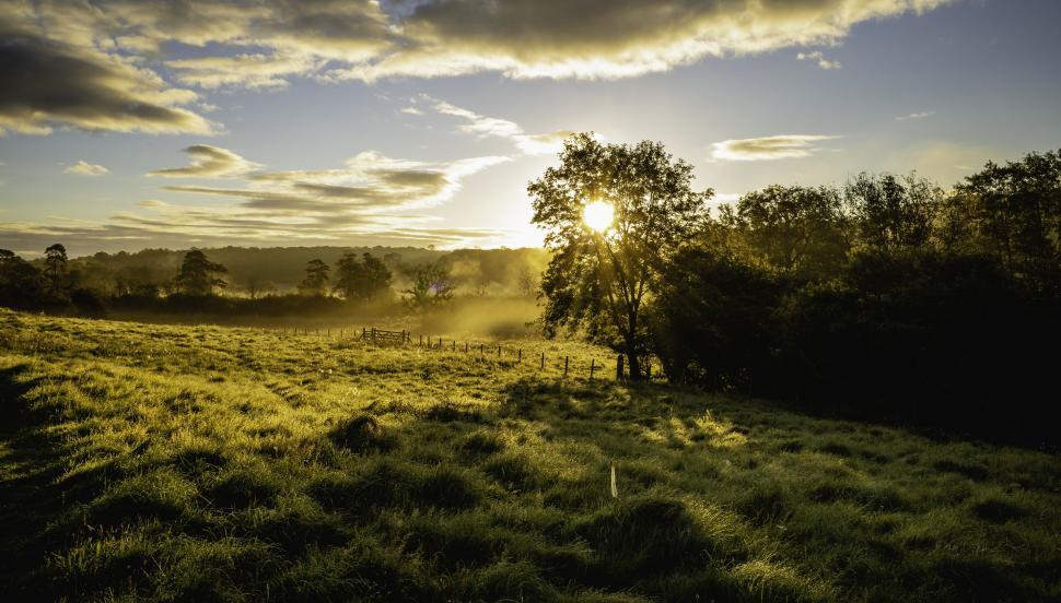 Free Image of Sunrise over misty green pasture 