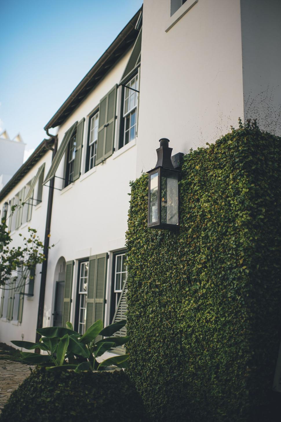 Free Image of Heritage house covered with ivy and street lamp 