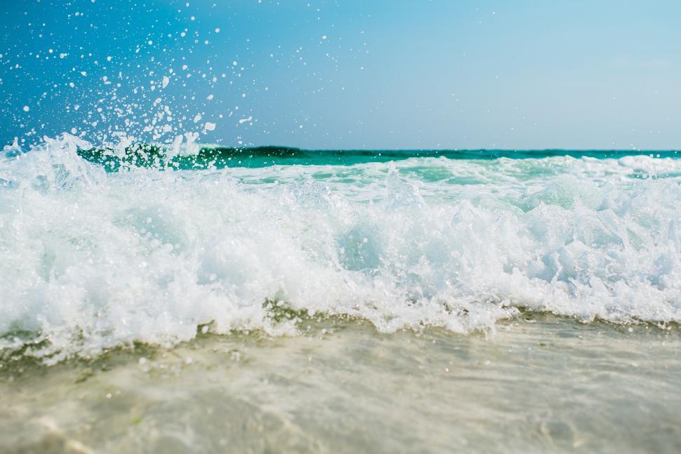 Free Image of Clear turquoise ocean wave on sunny day 