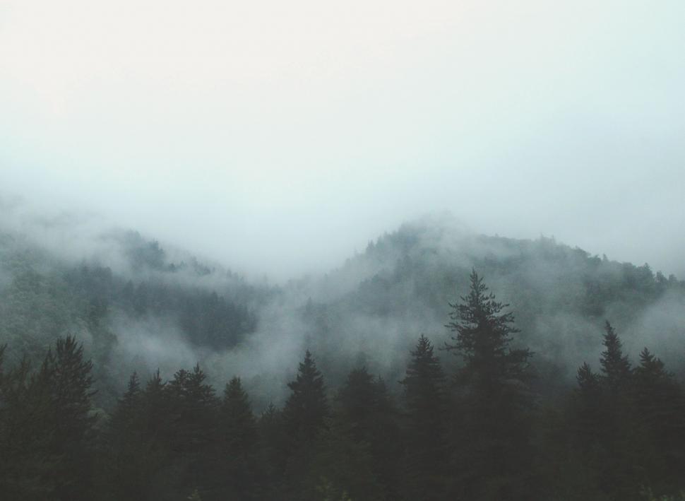 Free Image of Misty forested mountains in overcast weather 