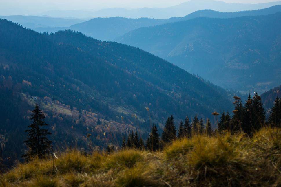 Free Image of Misty mountain landscape with pine trees 
