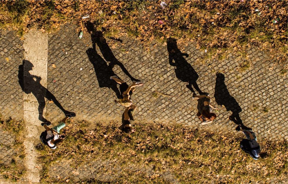 Free Image of Aerial view of people casting shadows 