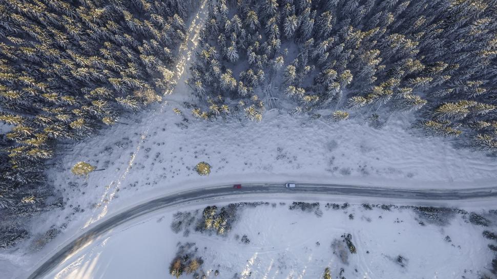 Free Image of Snowy road through a winter forest 