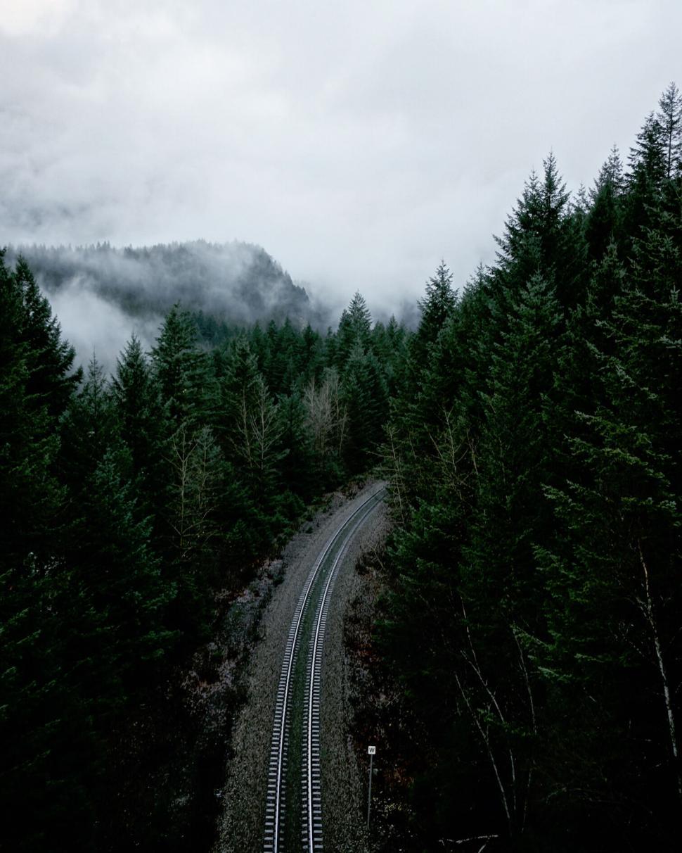 Free Image of Railroad tracks winding through misty forest 
