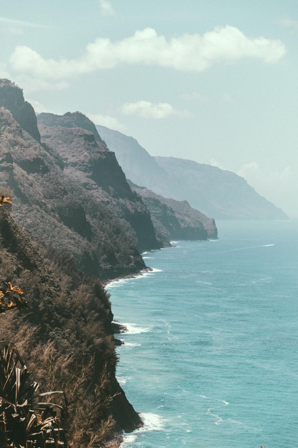 Free Image of Cliffside ocean view with flora 