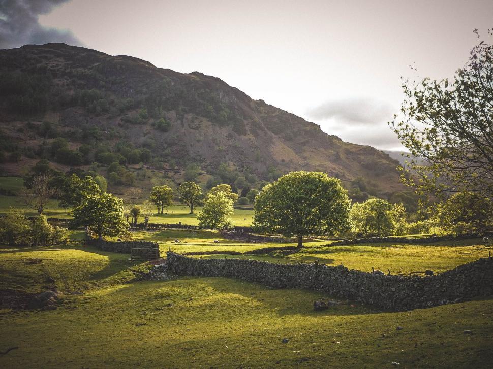 Free Image of Picturesque rural landscape with hills 