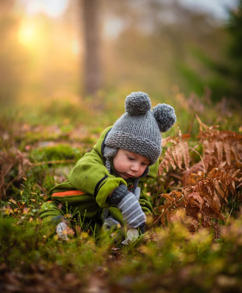 Free Image of Toddler examining autumn leaves 