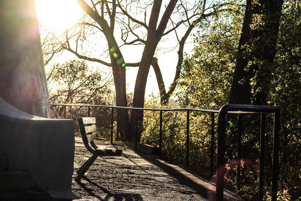 Free Image of Sunlit park bench with autumn trees 
