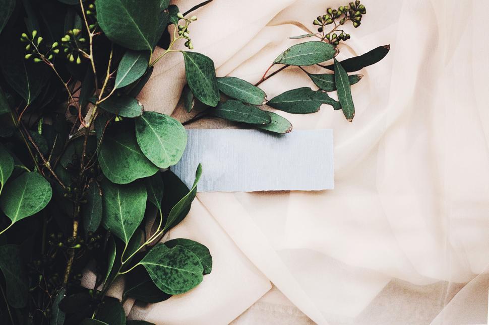 Free Image of Elegant natural wedding invitation concept 