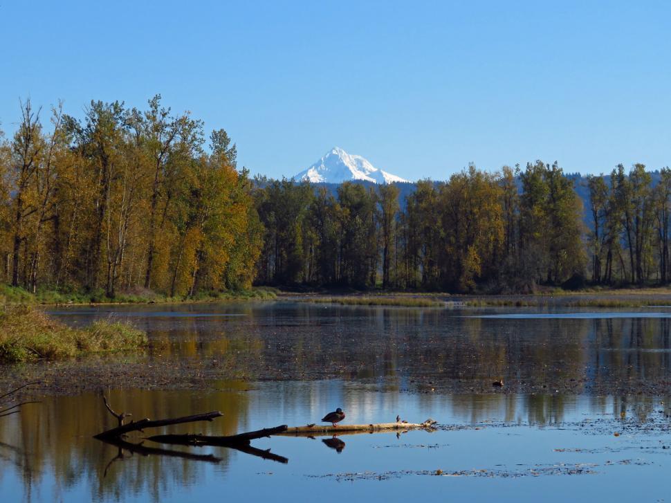Free Image of Calm lake with mountain and reflections 