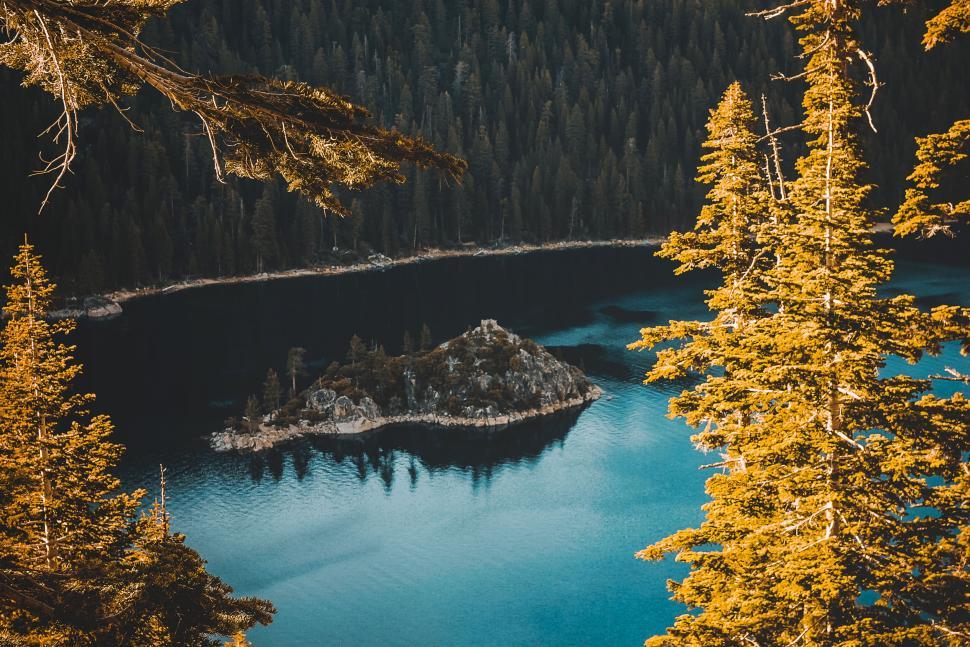 Free Image of Serene lake with coniferous trees and island 