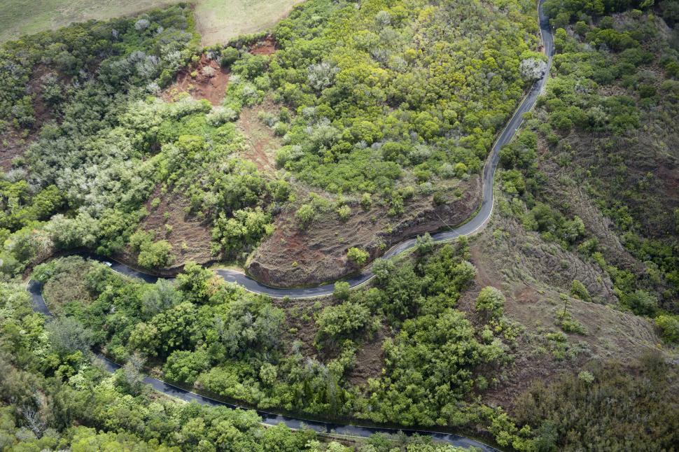 Free Image of Winding road through lush green forest from above 