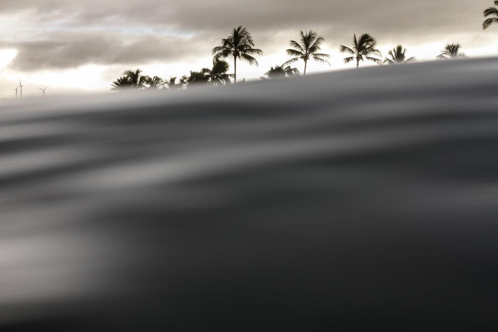 Free Image of Silhouetted palm trees against cloudy sky 