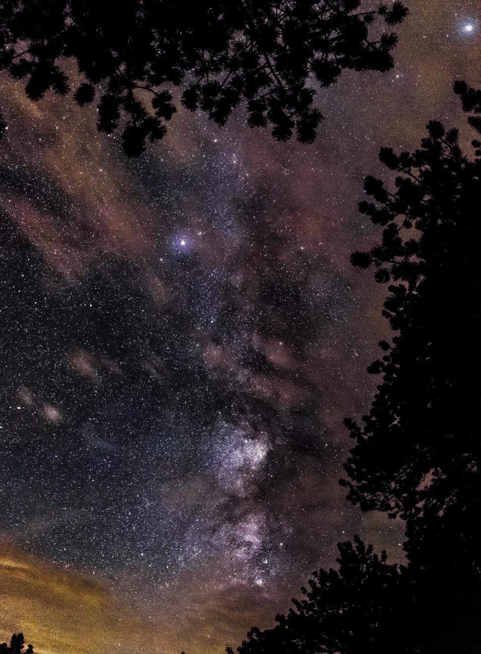 Free Image of Milky Way galaxy over silhouetted trees 