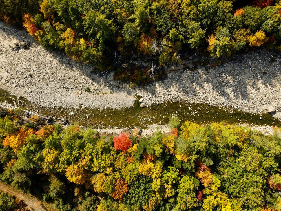 Free Image of Aerial view of autumn forest and river 