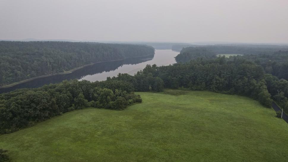 Free Image of River amidst forest at twilight 