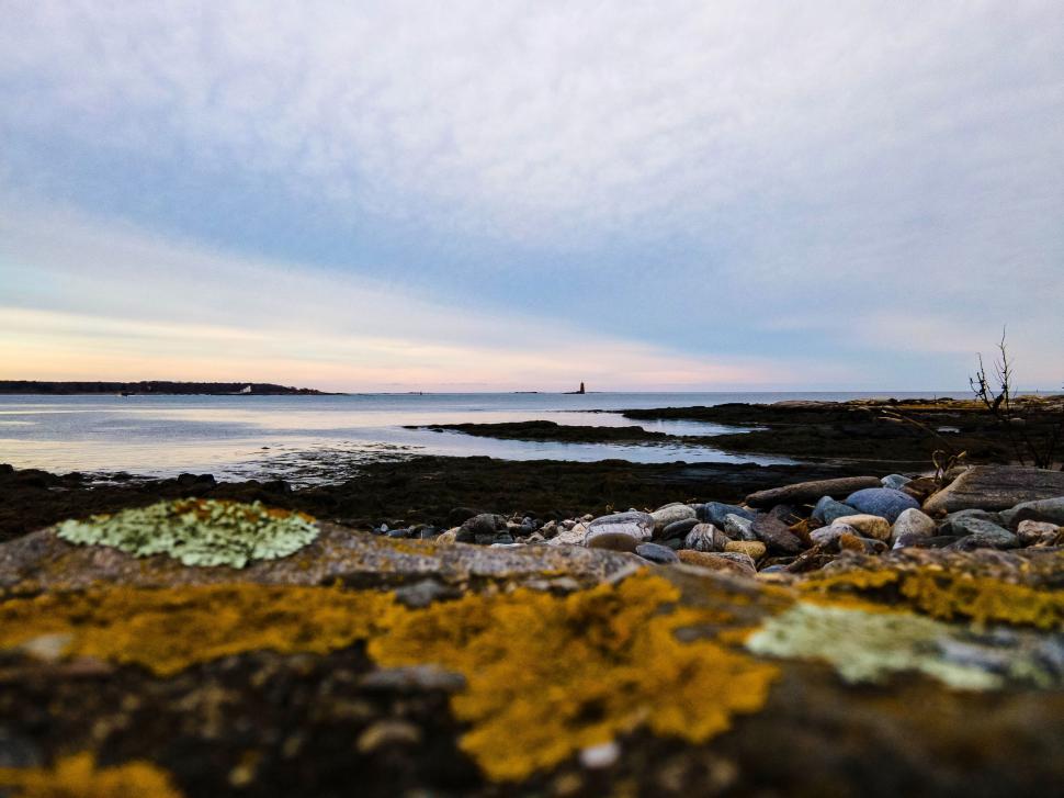 Free Image of Coastal scene with lichen-covered rocks 