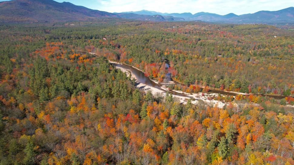 Free Image of Aerial view of a river in autumn forest 