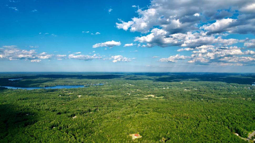 Free Image of Expansive green forest from an aerial view 