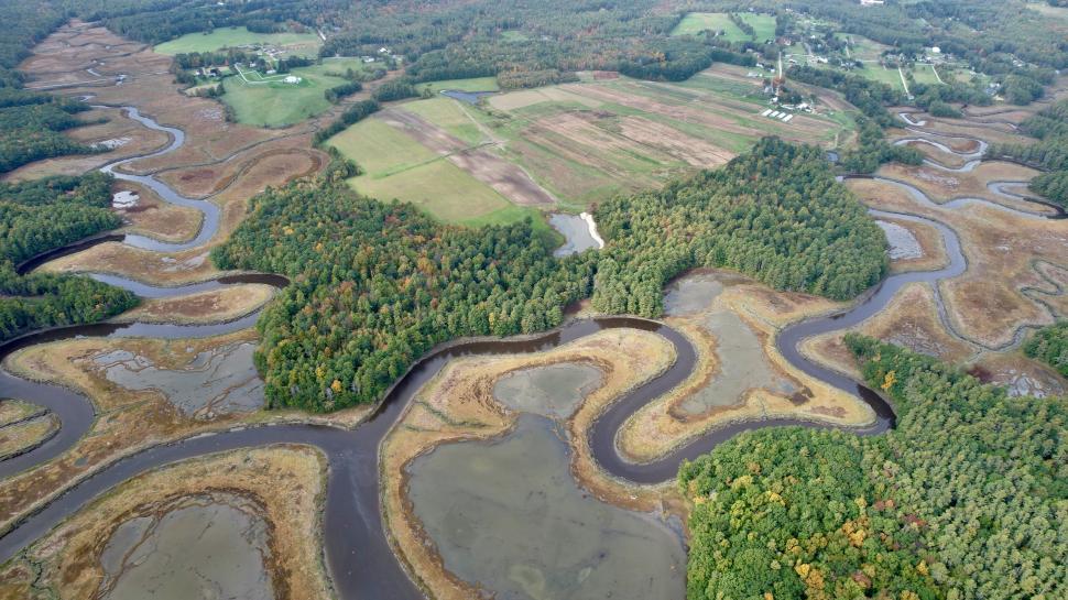 Free Image of Winding river in marshland forest 