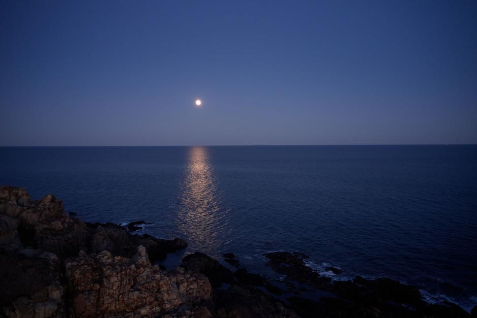 Free Image of Moonlight reflection on coastline at night 