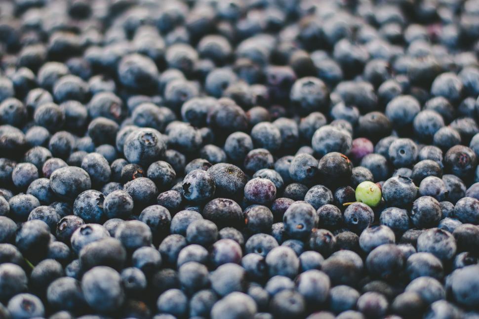 Free Image of Close-up of blueberries texture 