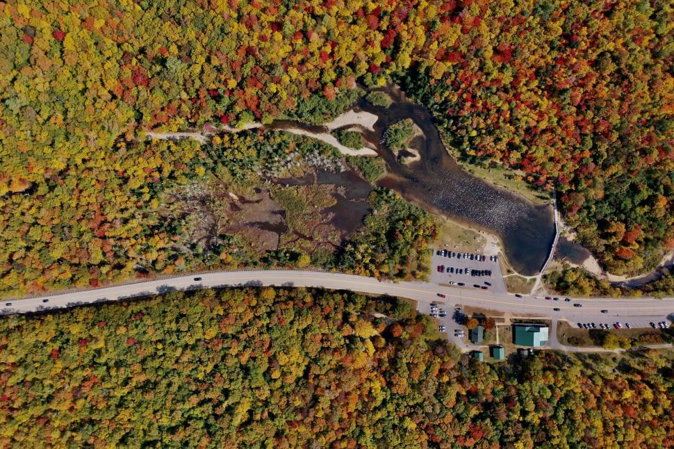 Free Image of Aerial view of a forest in peak autumn foliage colors. 