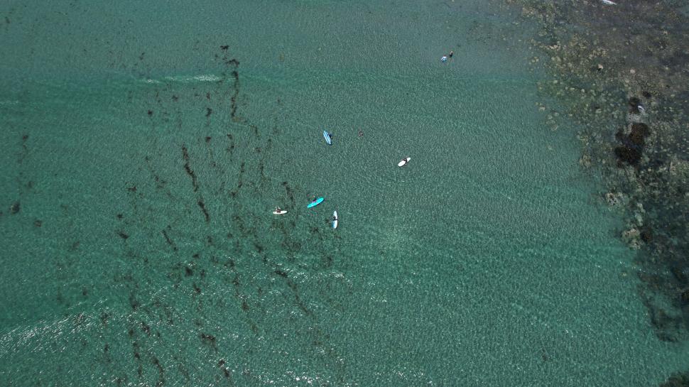Free Image of Aerial view of surfers on clear green water beach 