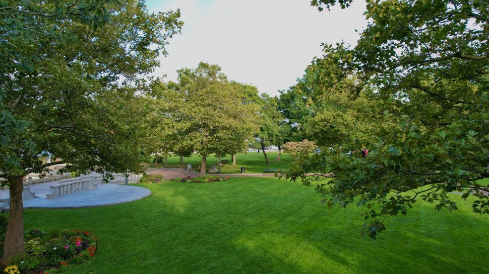 Free Image of Green park with trees casting shadow on grass lawn 