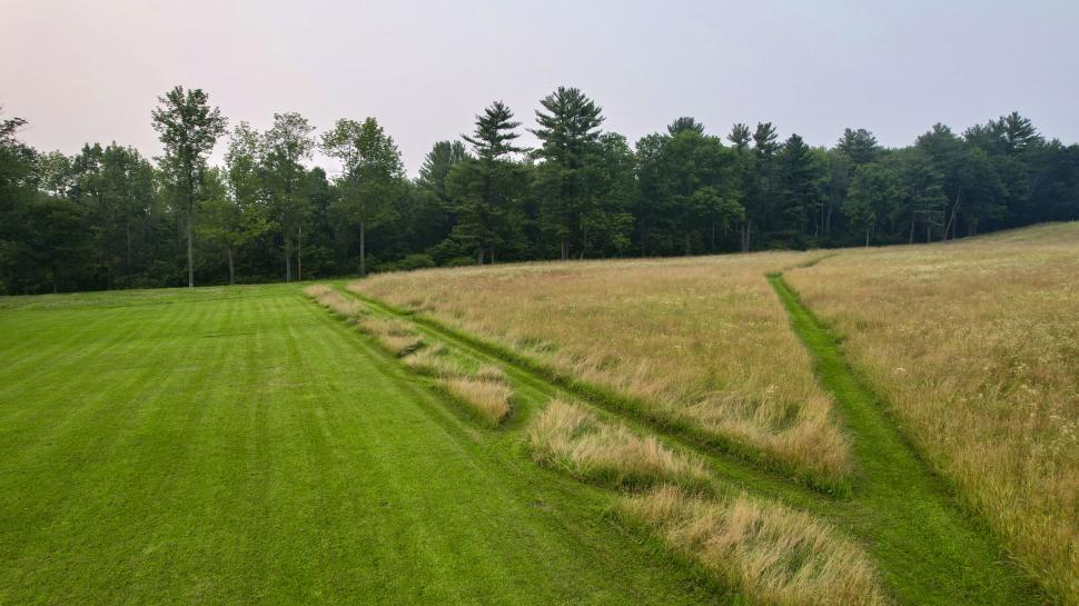 Free Image of Split landscape of green field and dry grassy path 