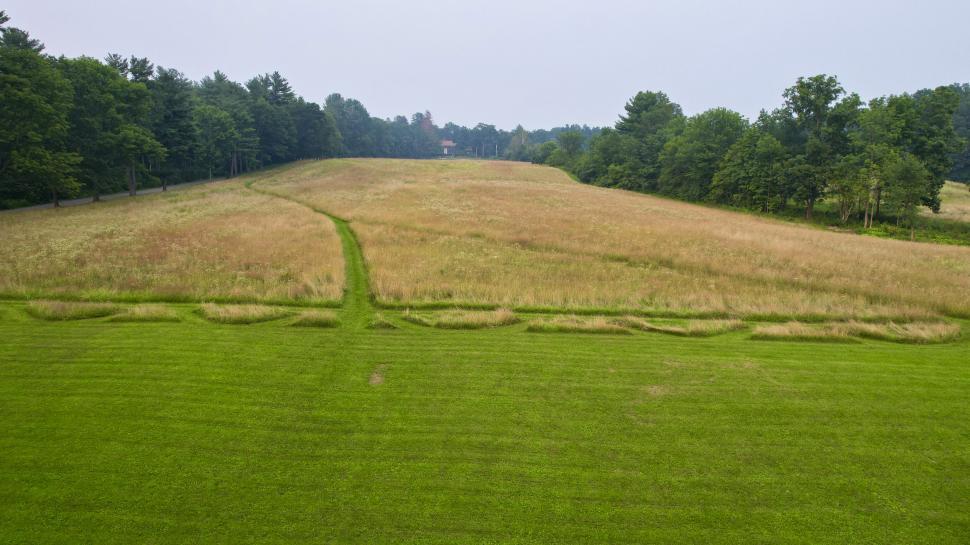 Free Image of Green and dry field with trees and a distant house 