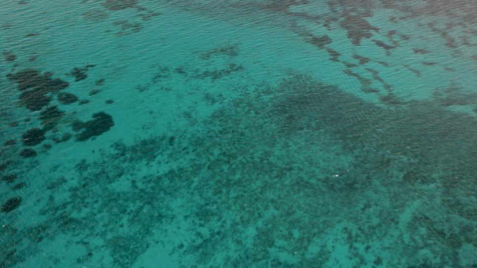 Free Image of Pristine clear turquoise water with coral formations seen 