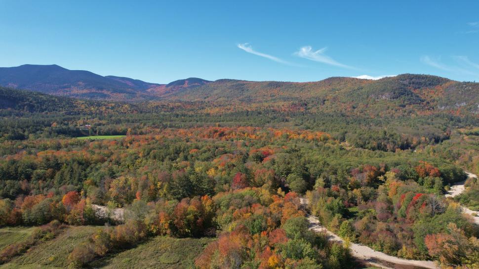 Free Image of Aerial shot of vast forest with mountains in background 