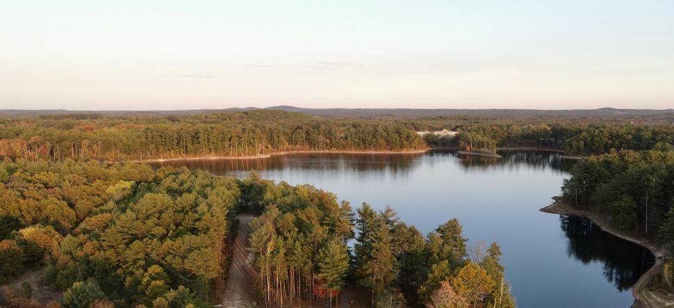 Free Image of Scenic view of lake surrounded by dense forest trees 