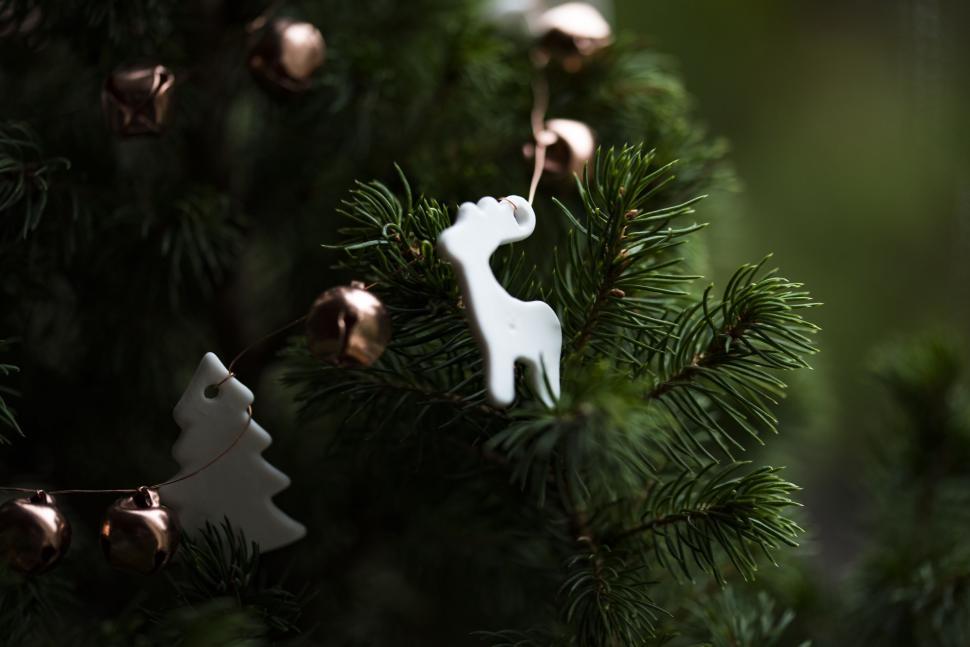 Free Image of Close-up of pine tree branch decorated with Christmas items 