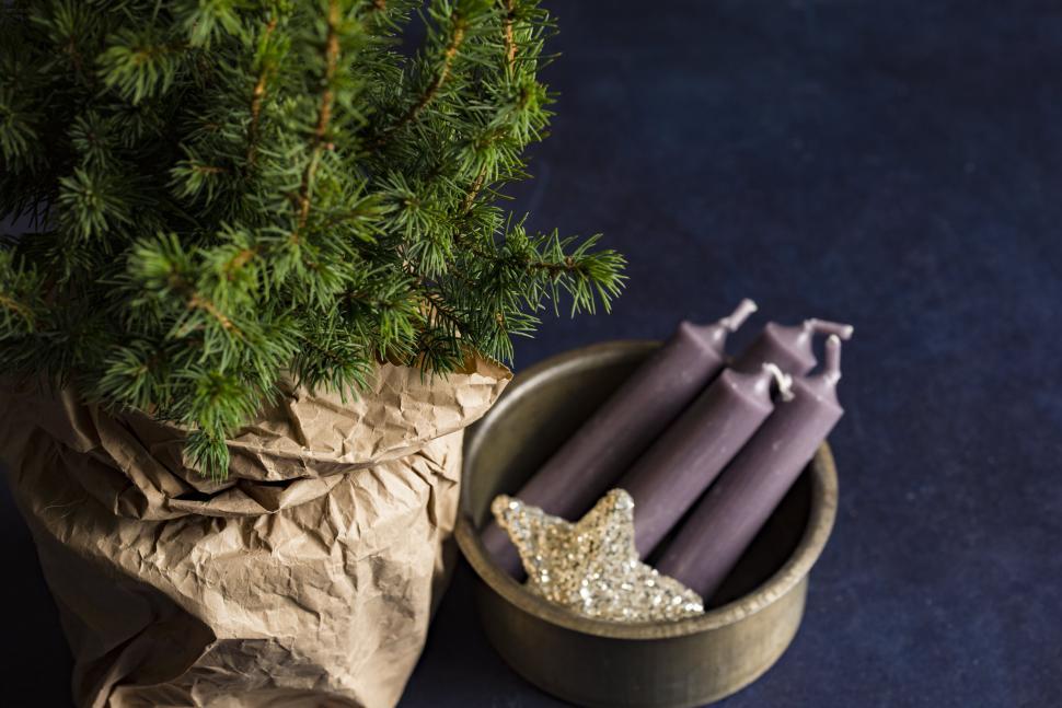 Free Image of Christmas decorations with tree and candles cozy setup 