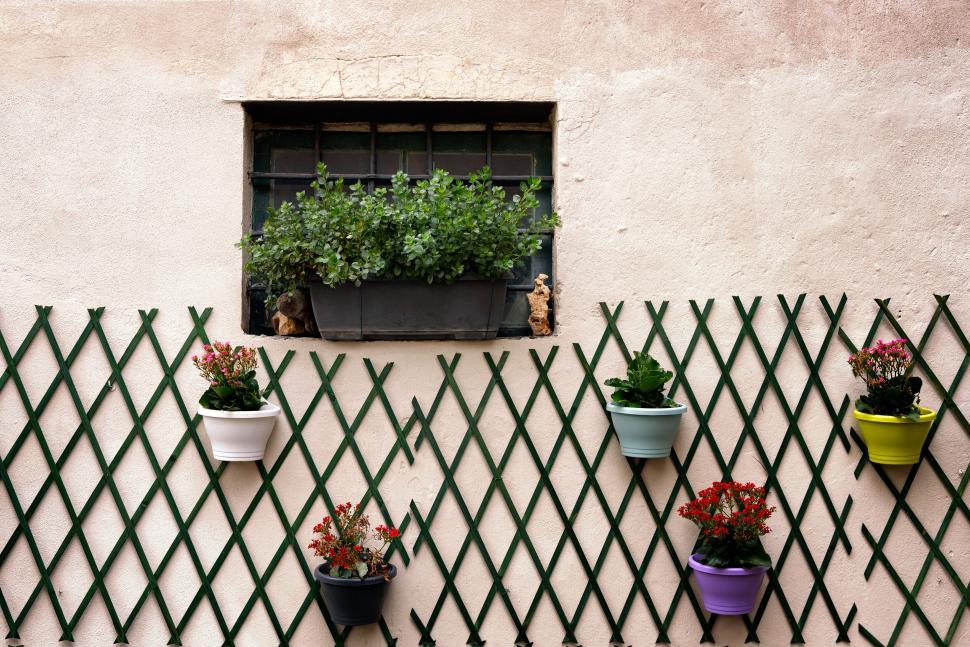 Free Image of Trellis with colorful flower pots and window planter. 