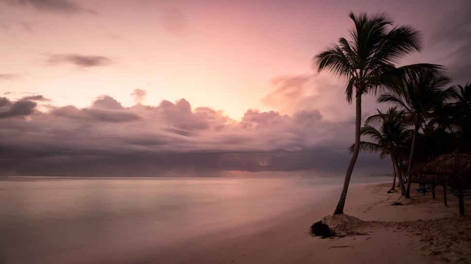 Free Image of Palm trees at sunset over calm ocean with cloudy sky view. 