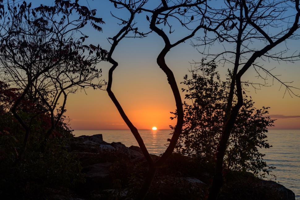 Free Image of Sunset over a lake framed by silhouette of trees 