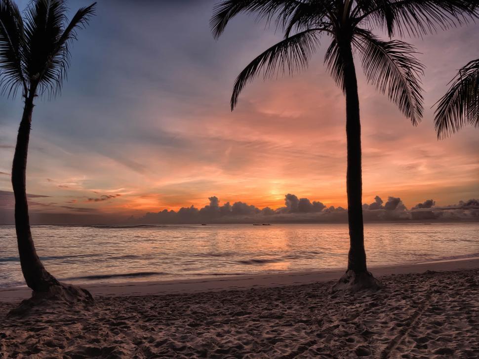 Free Image of A serene sunset over a tropical beach framed by palms. 