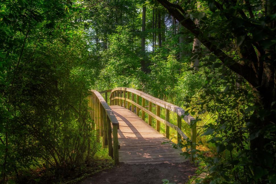 Free Image of Wooden bridge in nature surrounded by green trees 