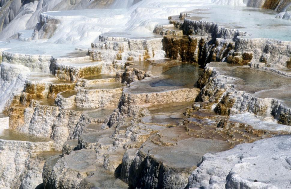 Free Image of Calcium deposits 