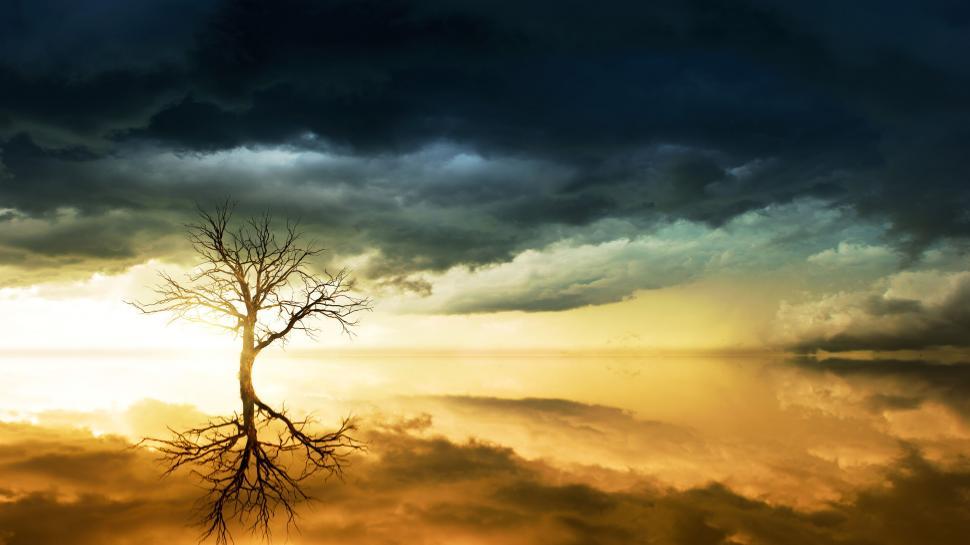 Free Image of Solitary tree reflected on water under stormy sky 