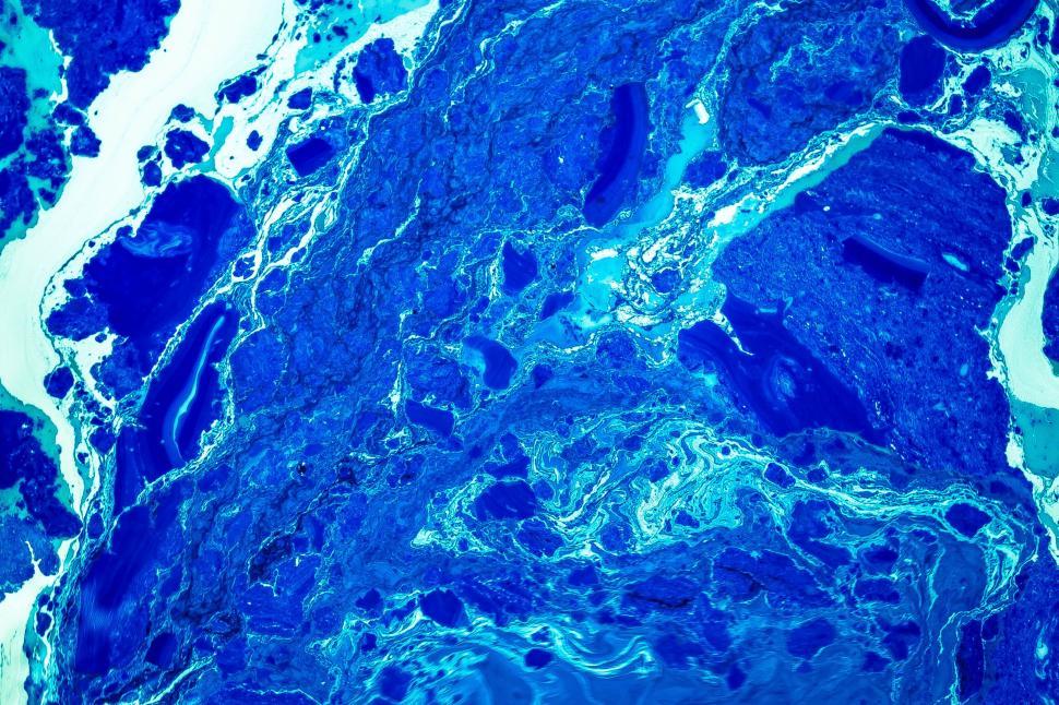 Free Image of Blue abstract vivid texture with marbled patterns 