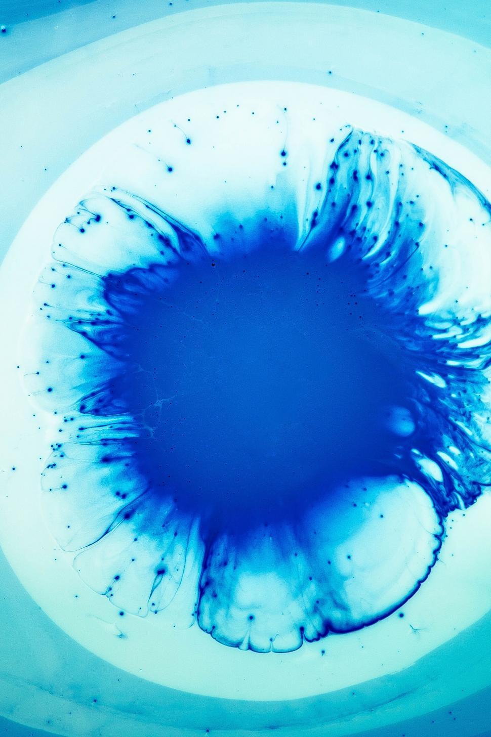 Free Image of Abstract close-up of blue ink in water creating patterns 