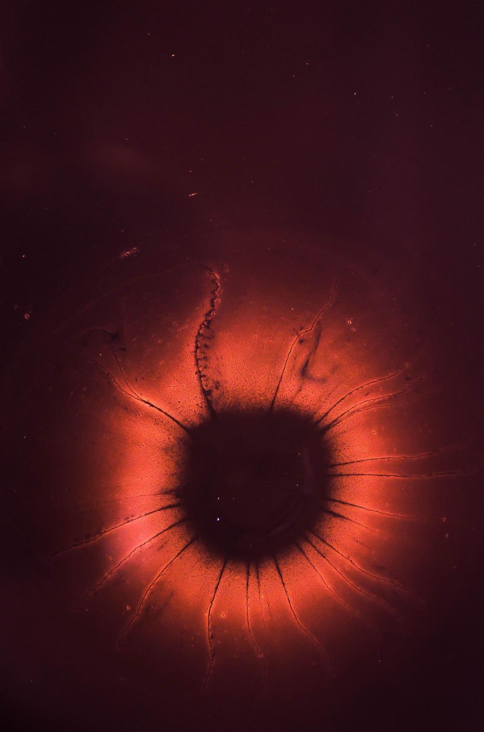 Free Image of Dark red abstract circular form with bright center glow 
