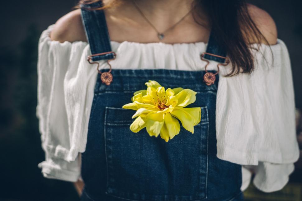 Free Image of Yellow Flower Inside Denim Overalls, Close-Up View 