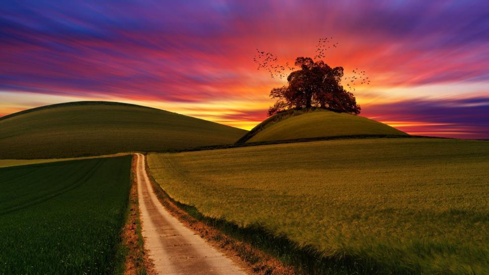 Free Image of Sunset over hills with tree and colorful sky 