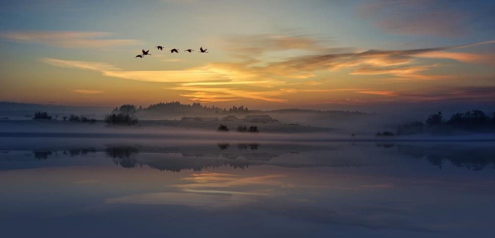 Free Image of Serene sunrise over misty landscape with flying birds. 